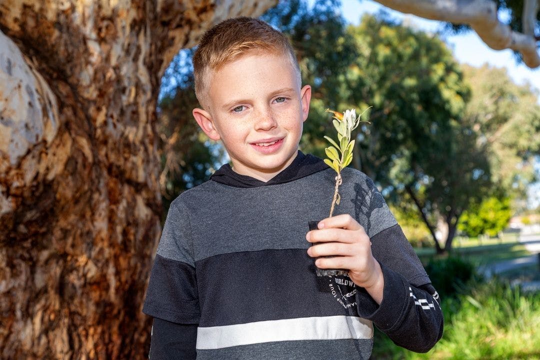 A child in a park holding some greenery 