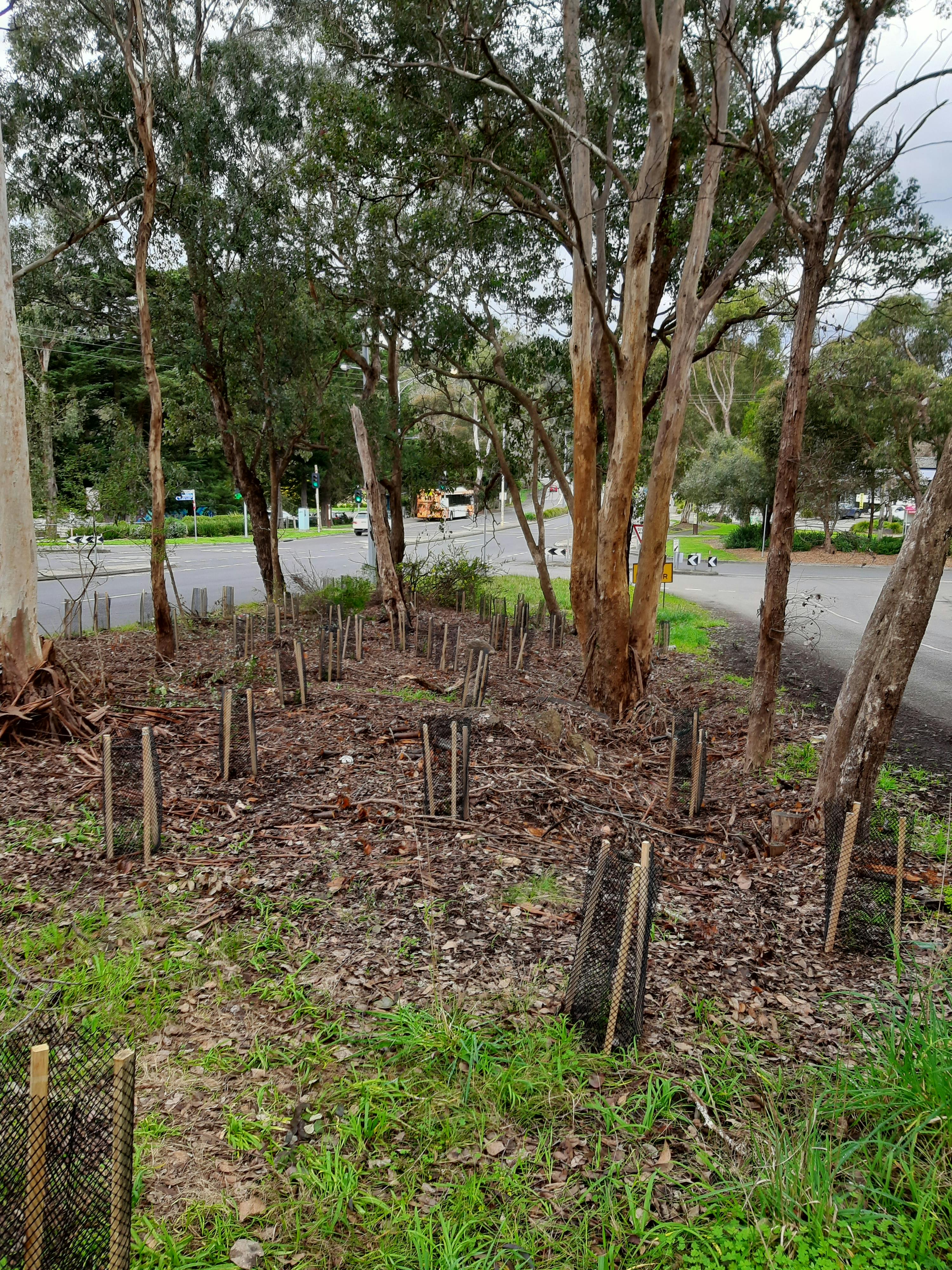 Planting