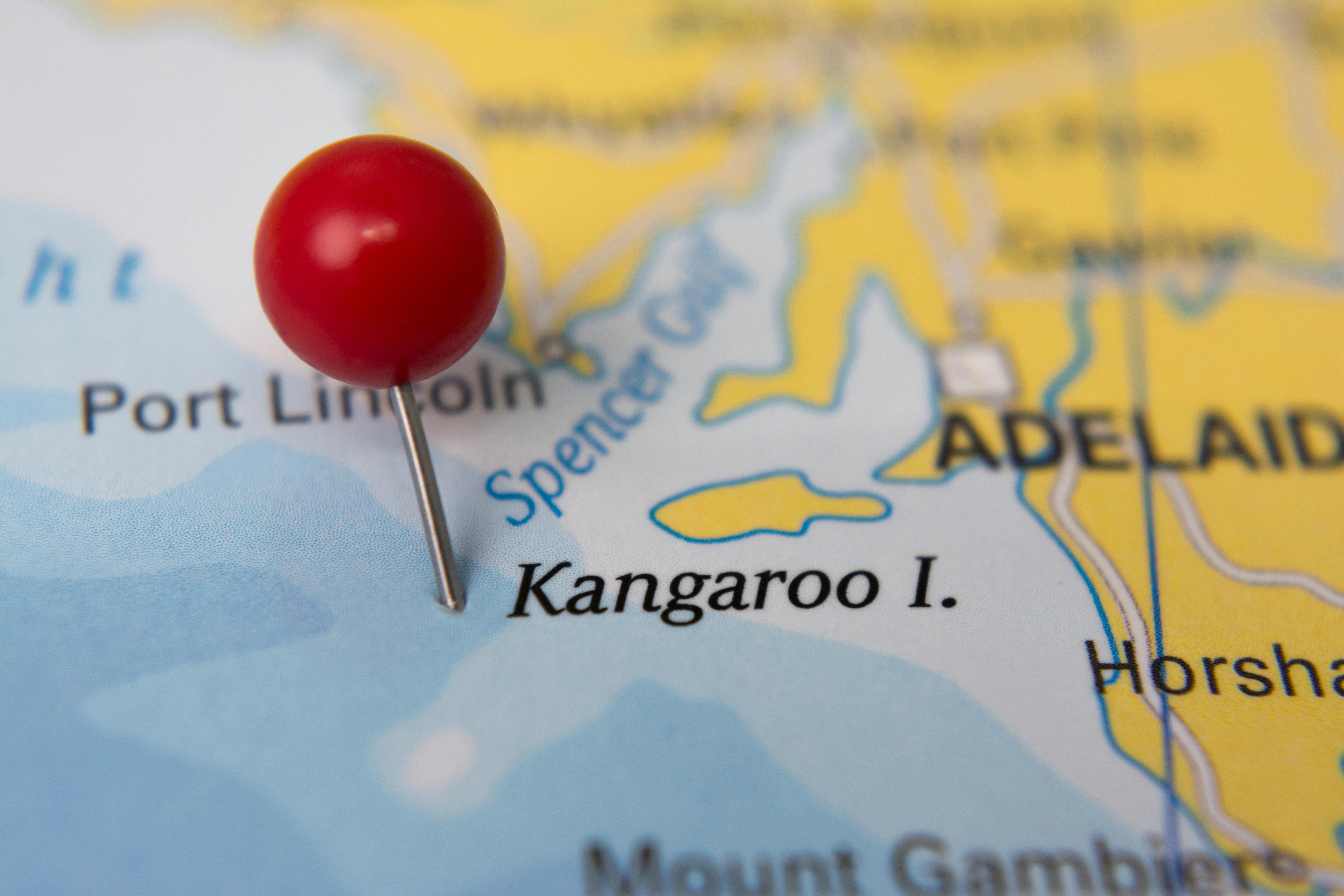 Kangaroo Island pin