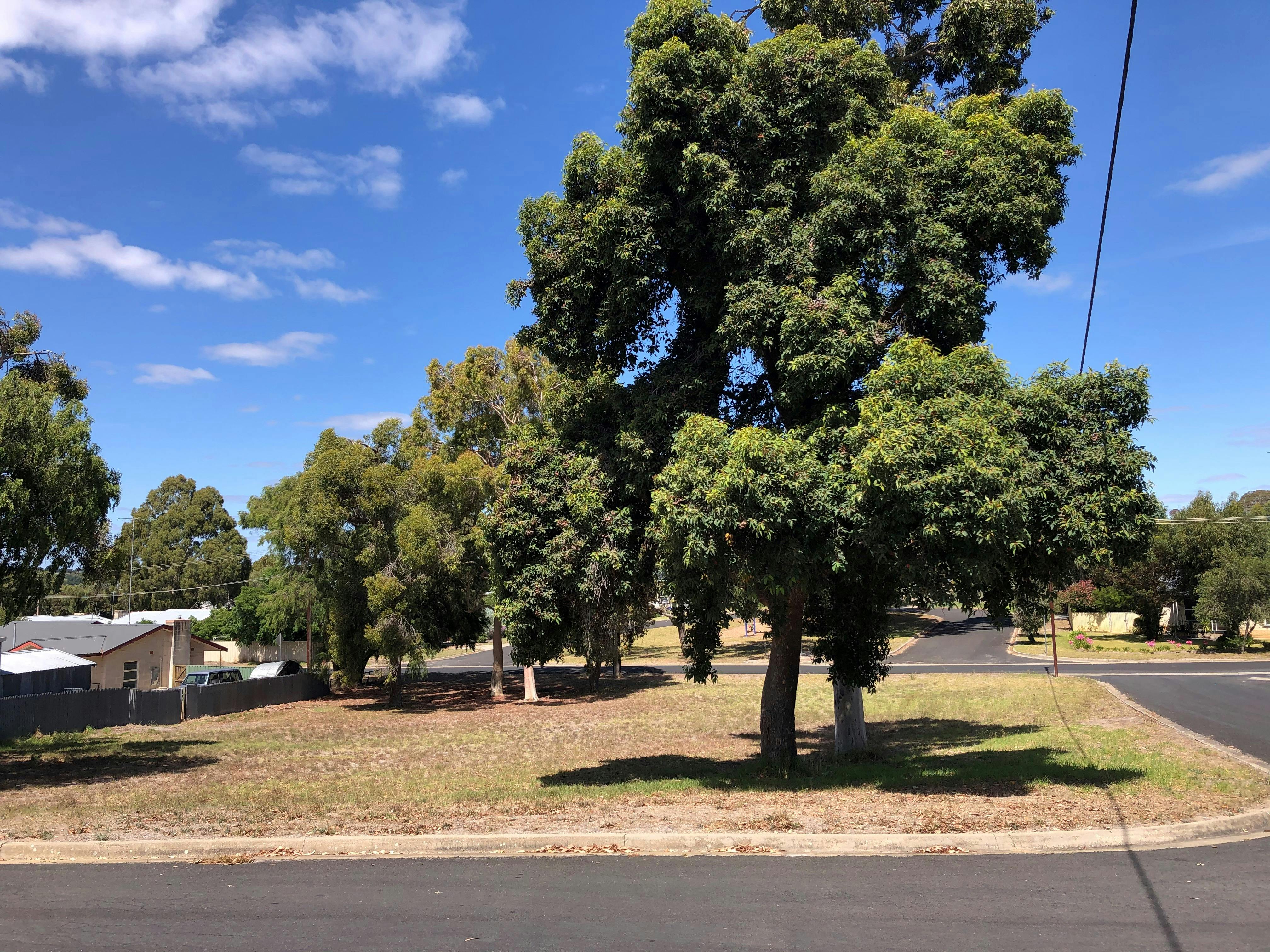 Guernsey St image.jpg