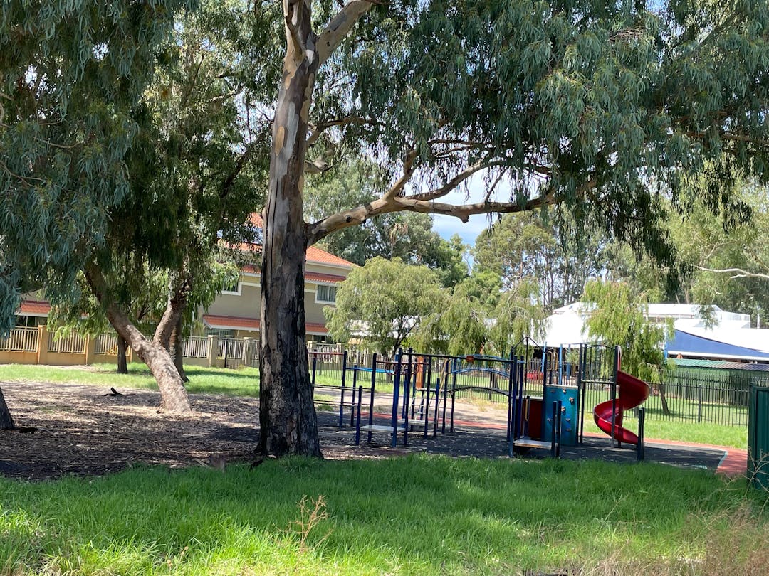 Play area at 26 Brentham Street shaded by large tree