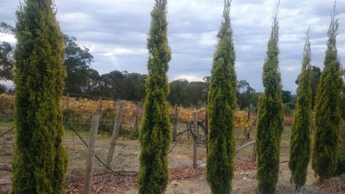 Clean  Green  Sustainable Environment