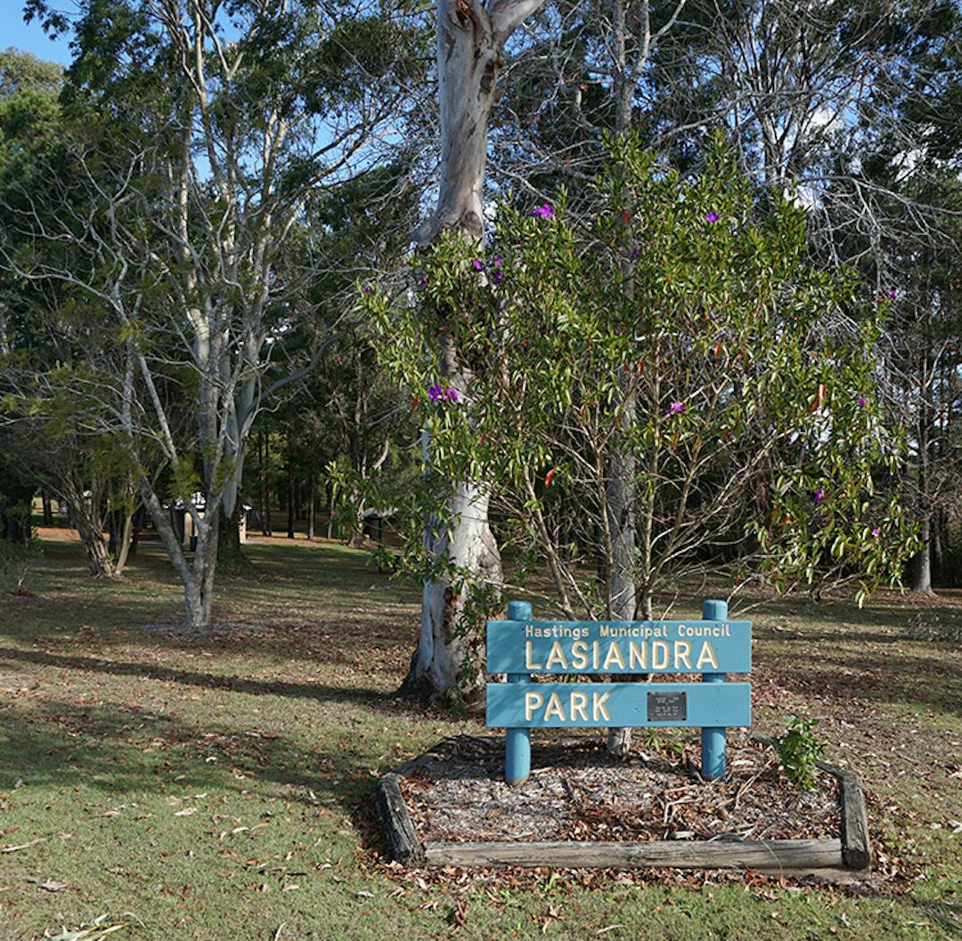 lasiandra Park Photo of the sign in the park land and a lasiandra plant