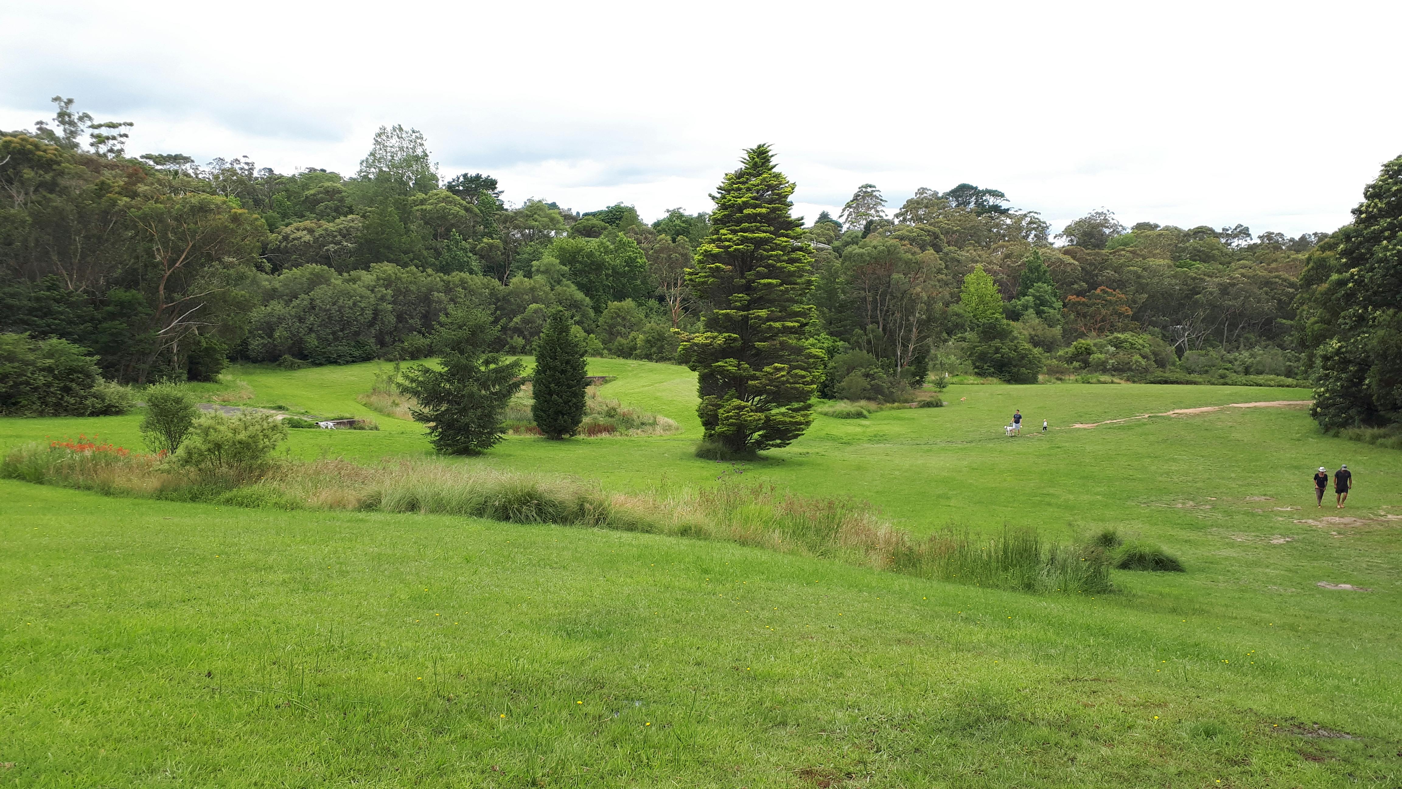 Looking from Wilson St towards the creek