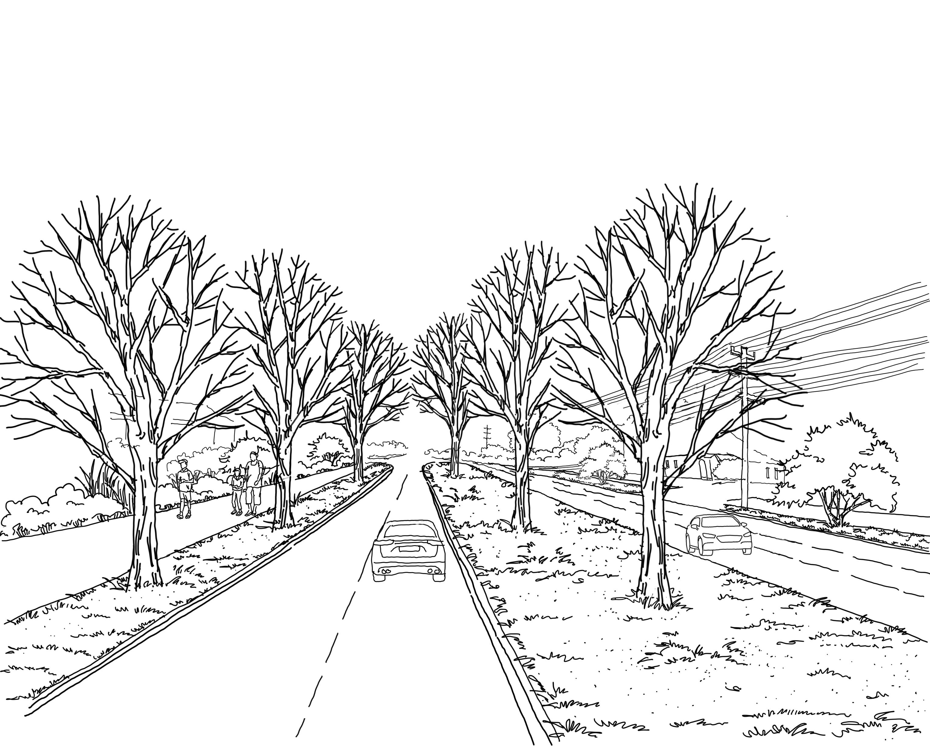 Provide and Avenue of Honour tree memorial