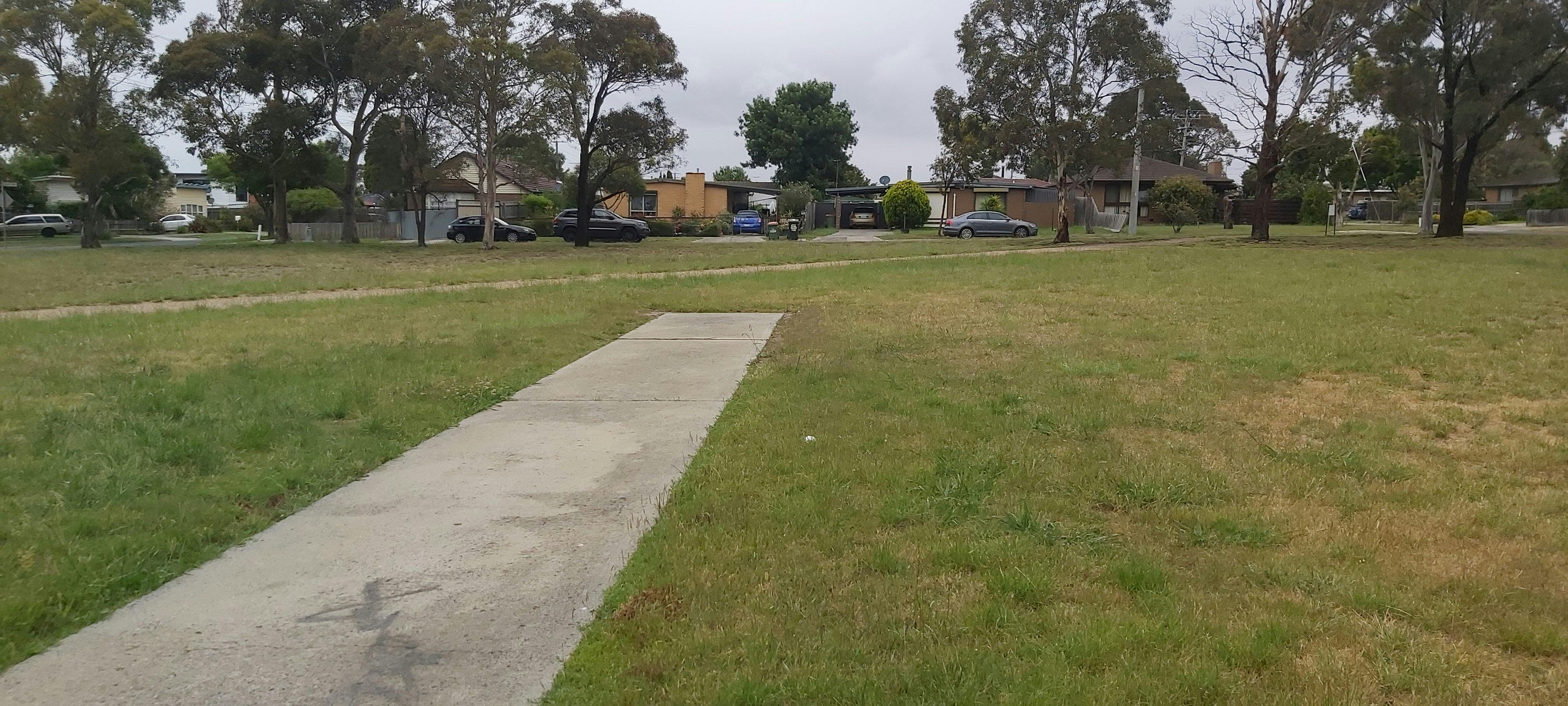 Existing cricket pitch