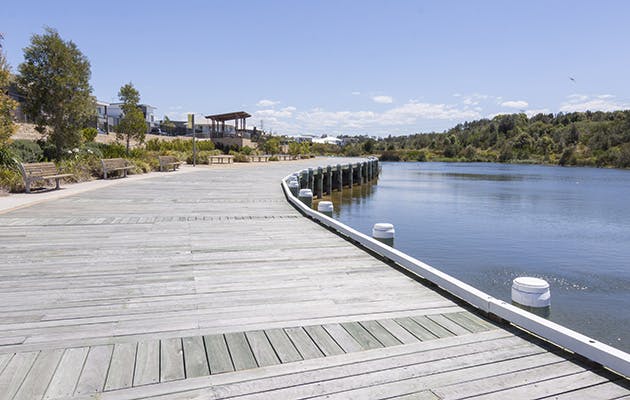 Boardwalk overlooking wetlands