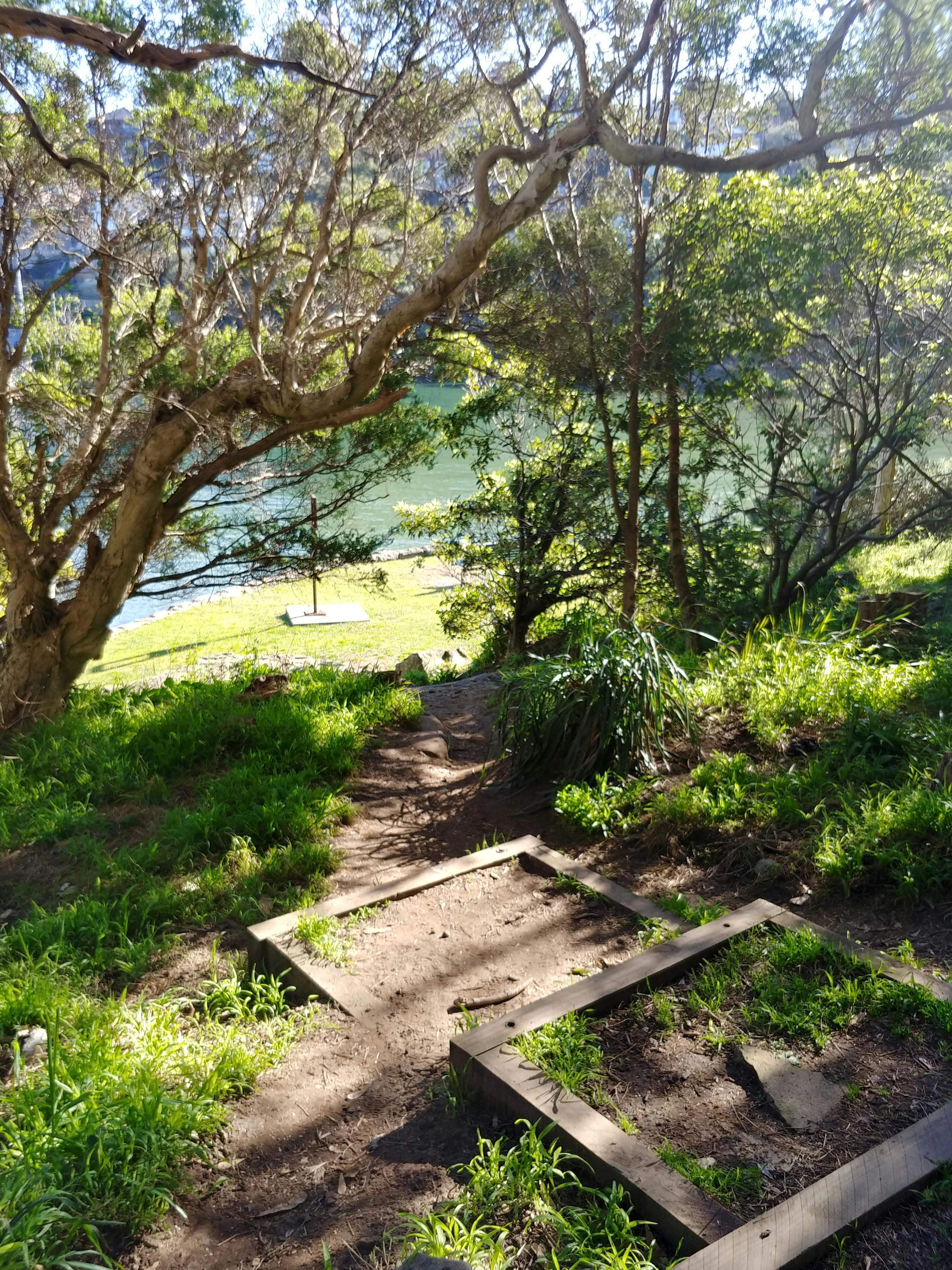 Sirius Cove Reserve walking track