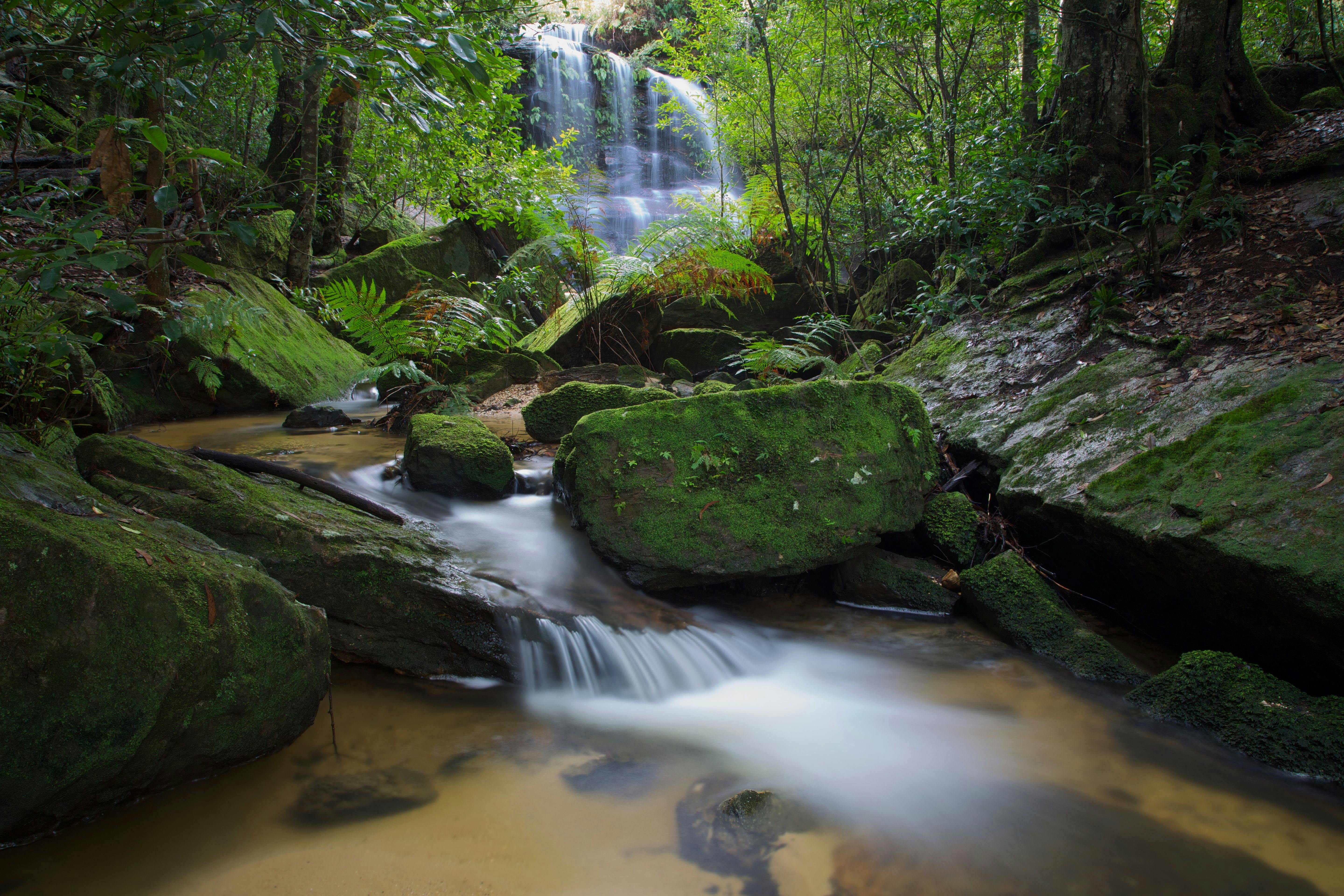 South Lawson Waterfall (Photo by David Noble)