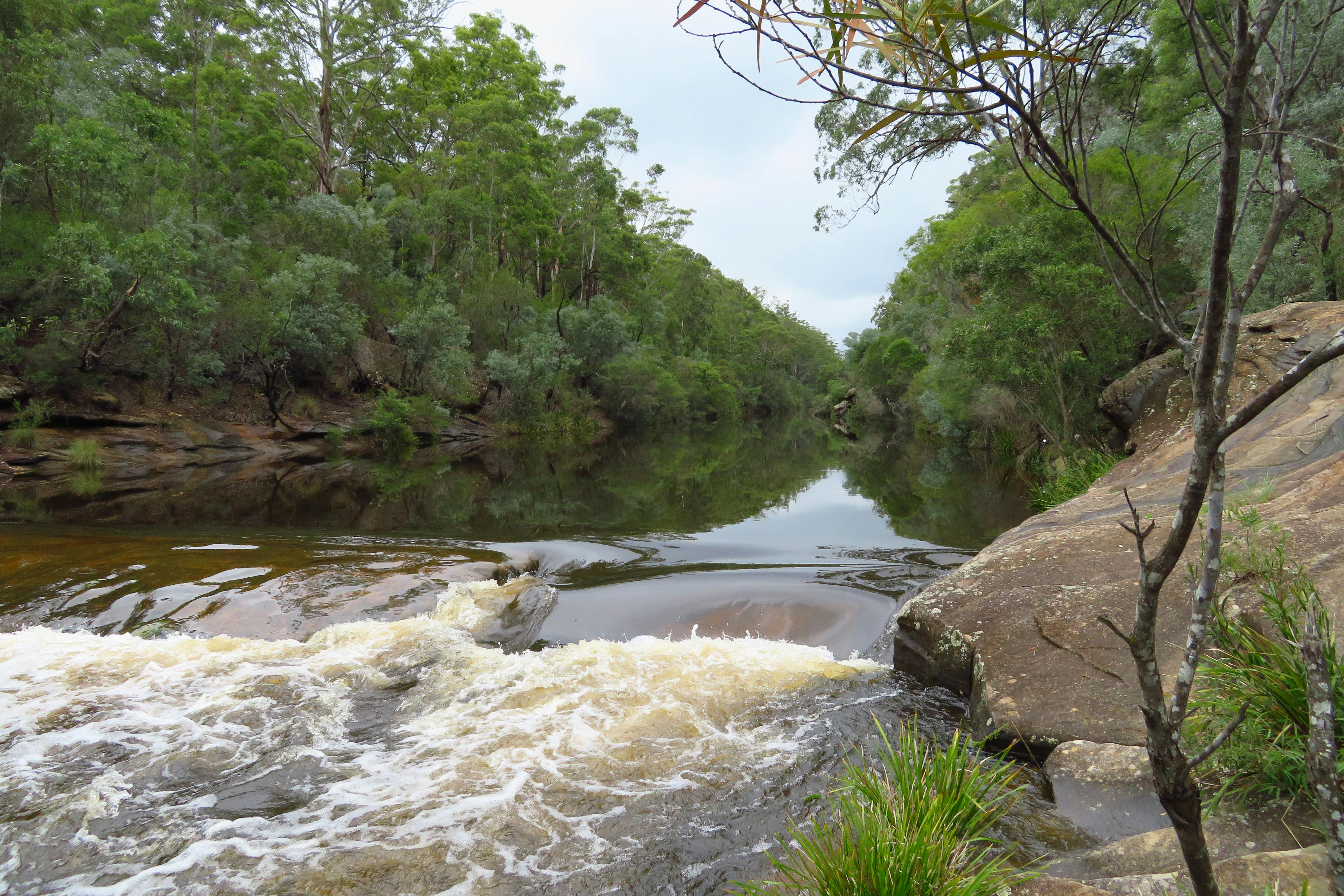 Georges River from Weir.JPG