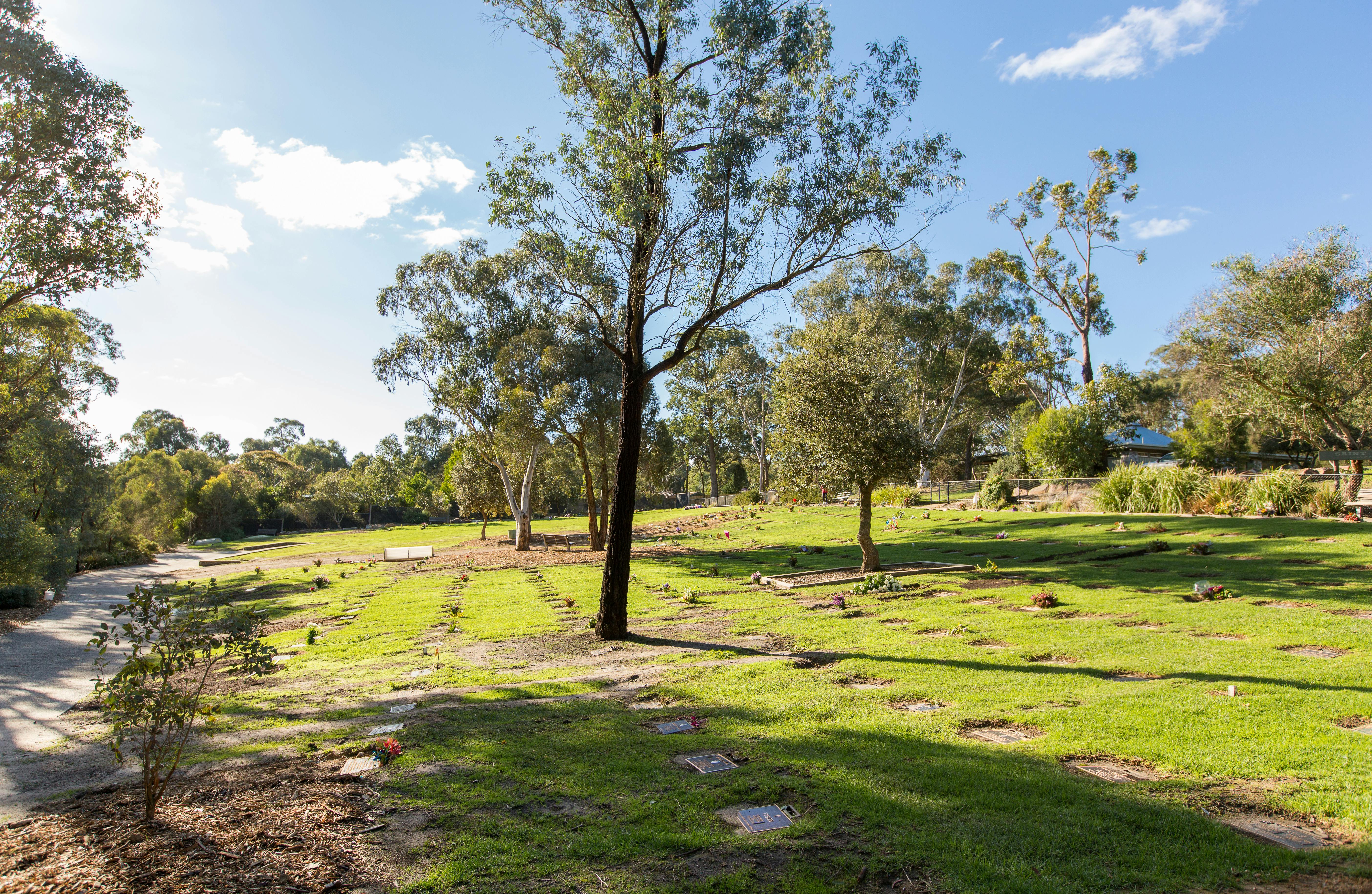 Andersons Creek Cemetery (1).jpg