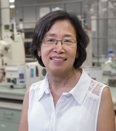 Team member, A/Prof Yun Feng