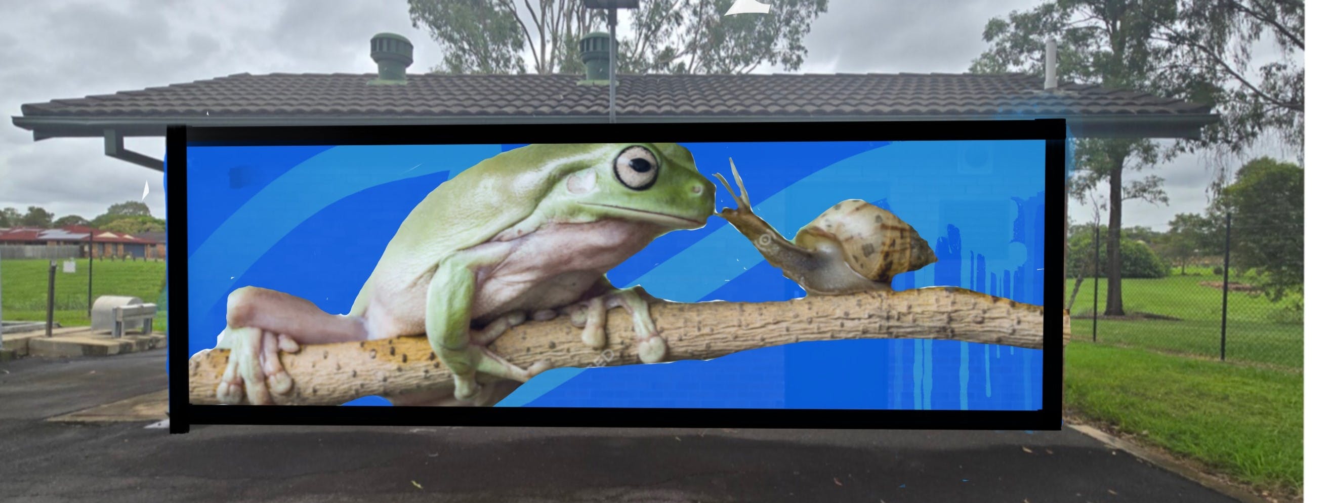 Front side: Option 2 - frog and snail