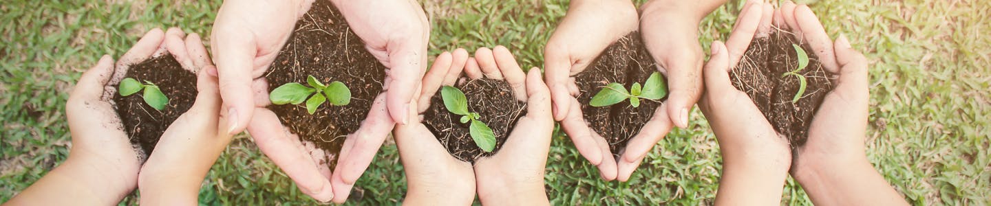 Five pairs of hands holding soil with young plants growing, set against a grassy background.