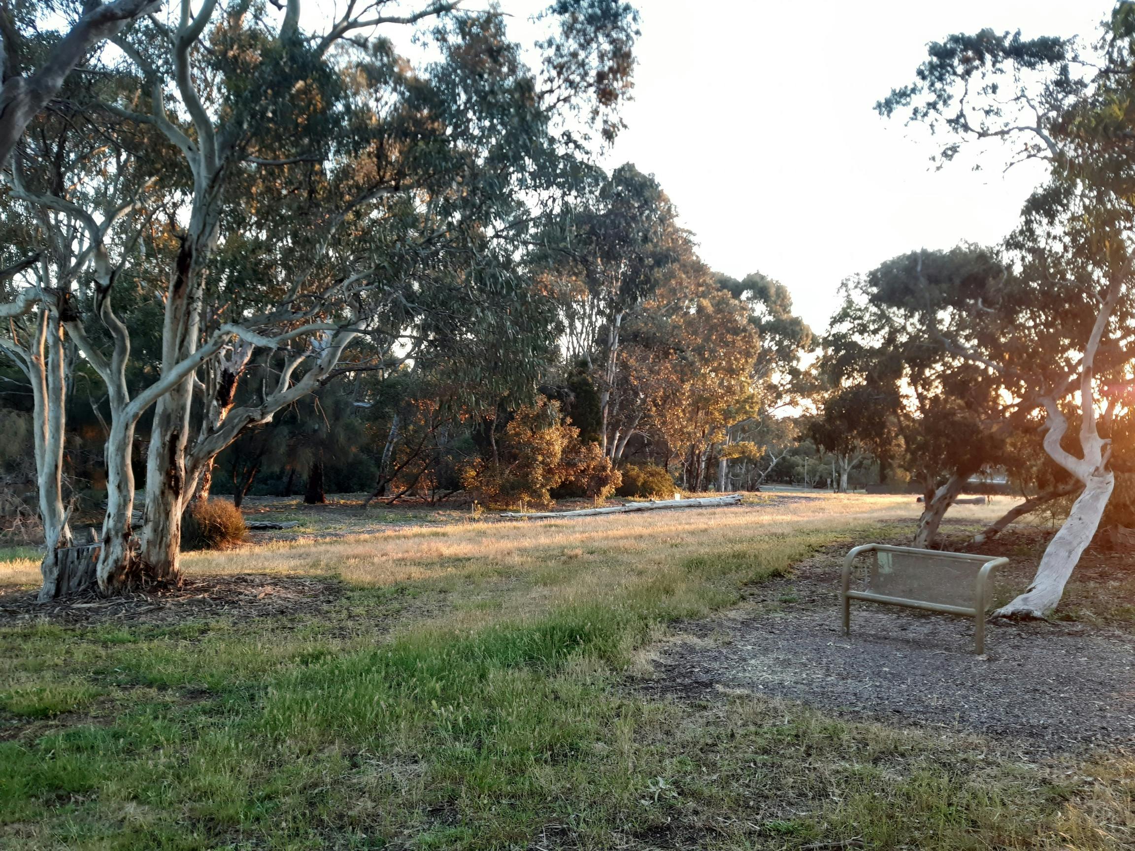 Open space site on Tarni Reserve proposed for a swing. A bench seat is in the foreground on the right.