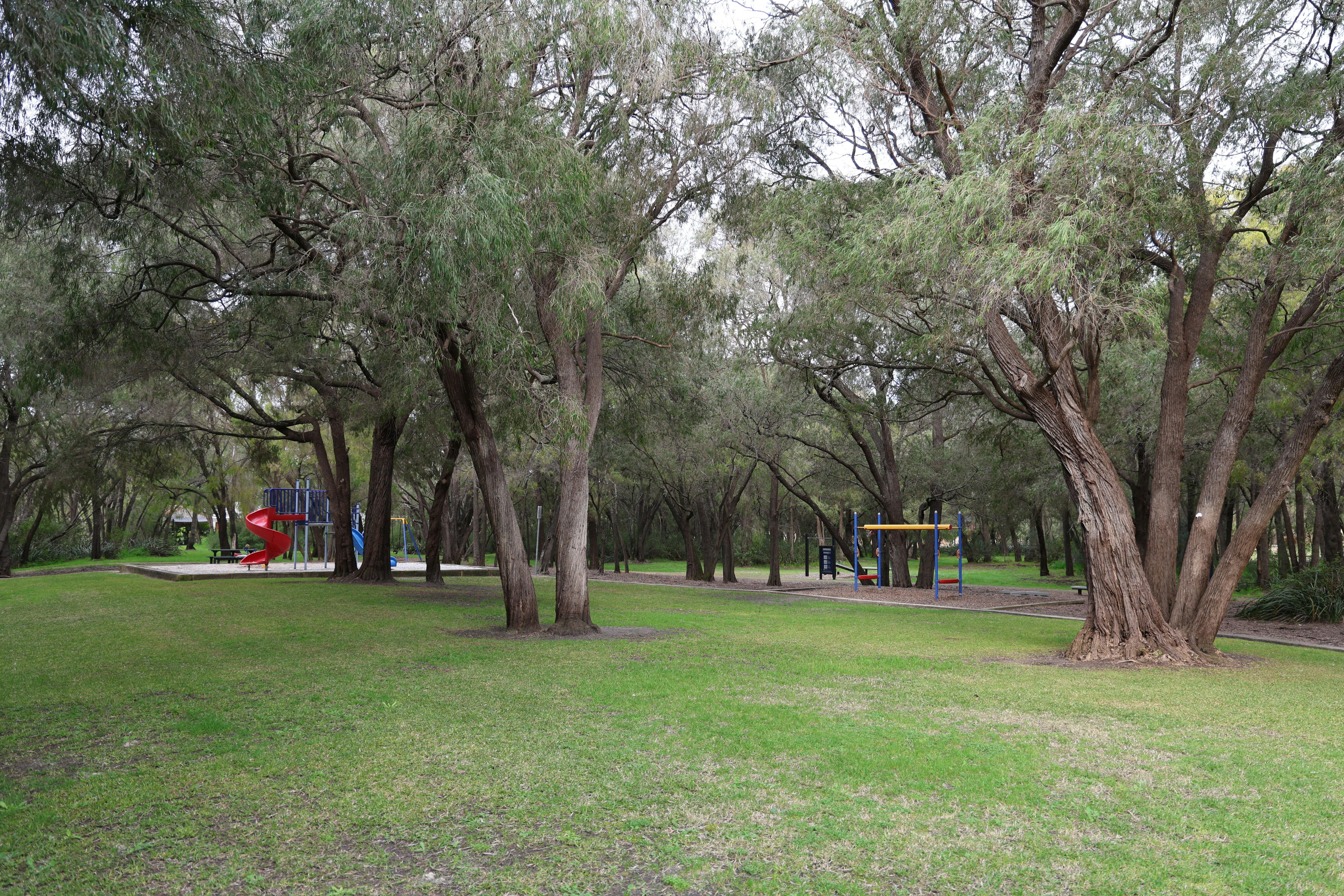 016A9231.JPG