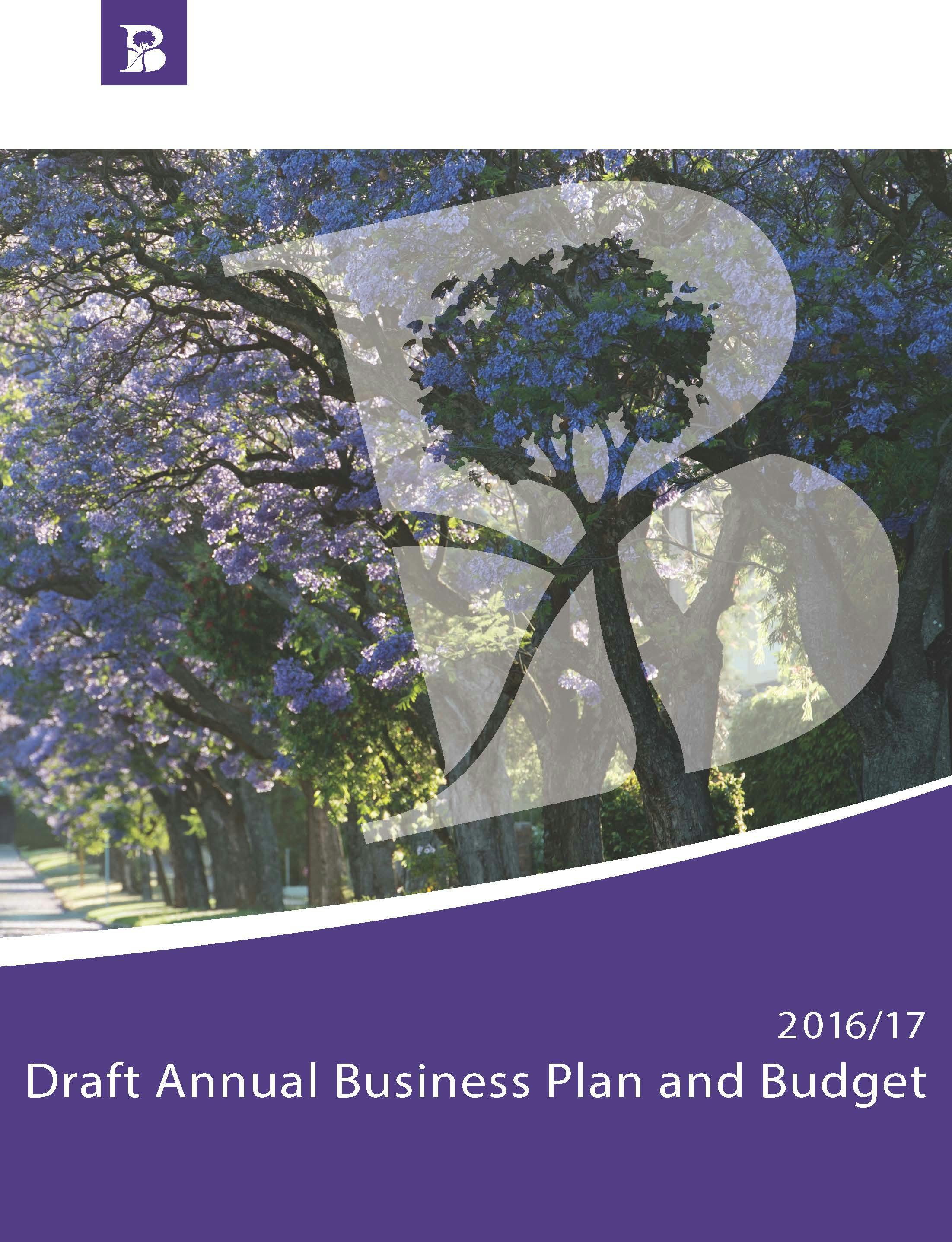 The 2016/17 Draft Business Plan and Budget is available online in the Document Library below. You can also view a copy at the Civic Centre Customer Desk.