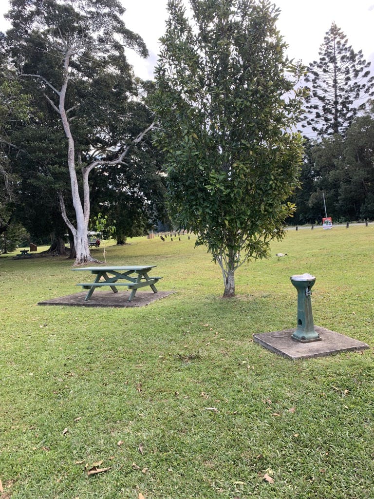 Picnic bench and water fountain 