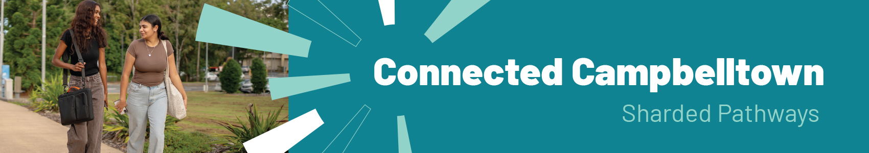 project banner