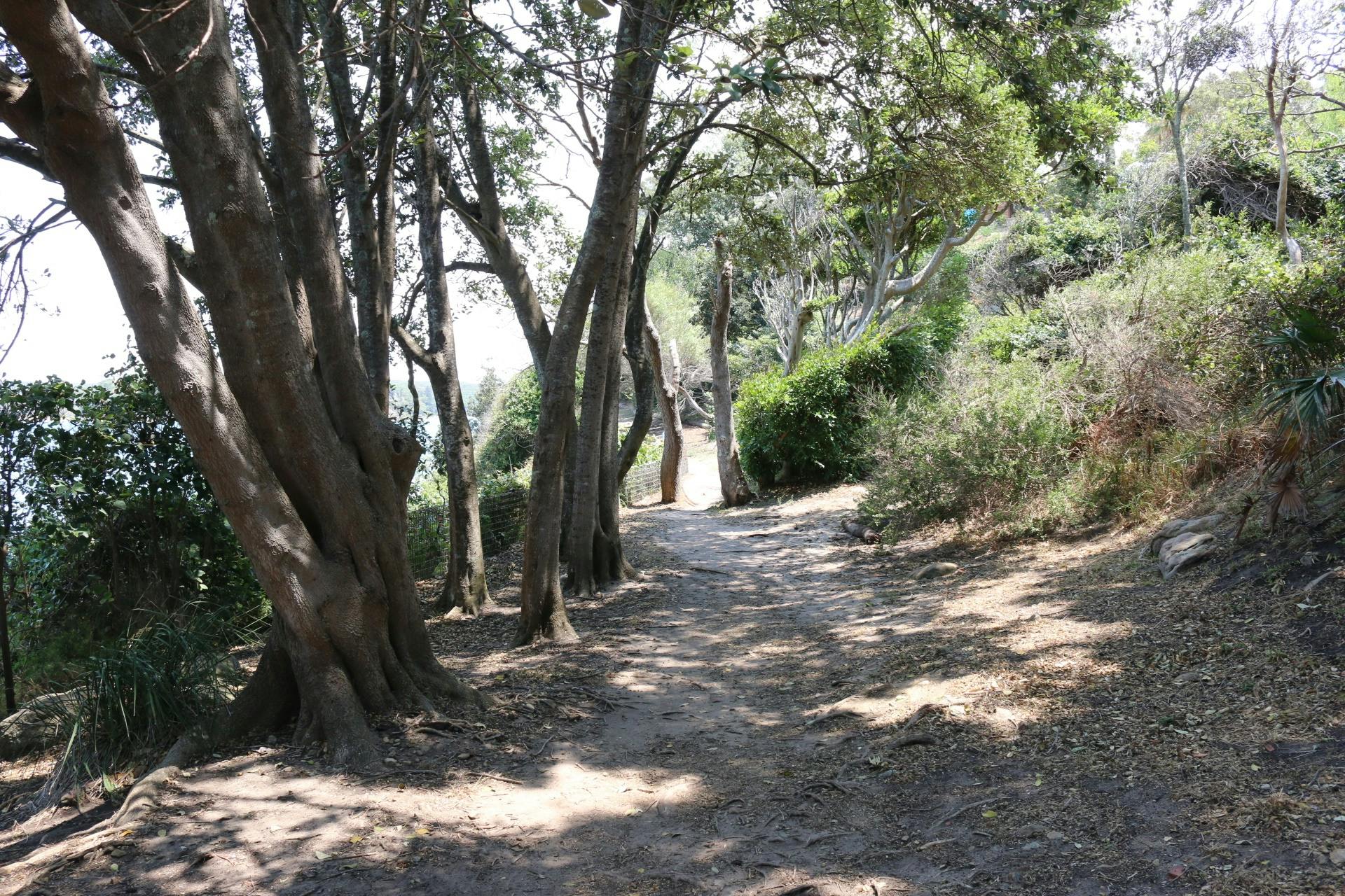 Existing path at Hungry Point