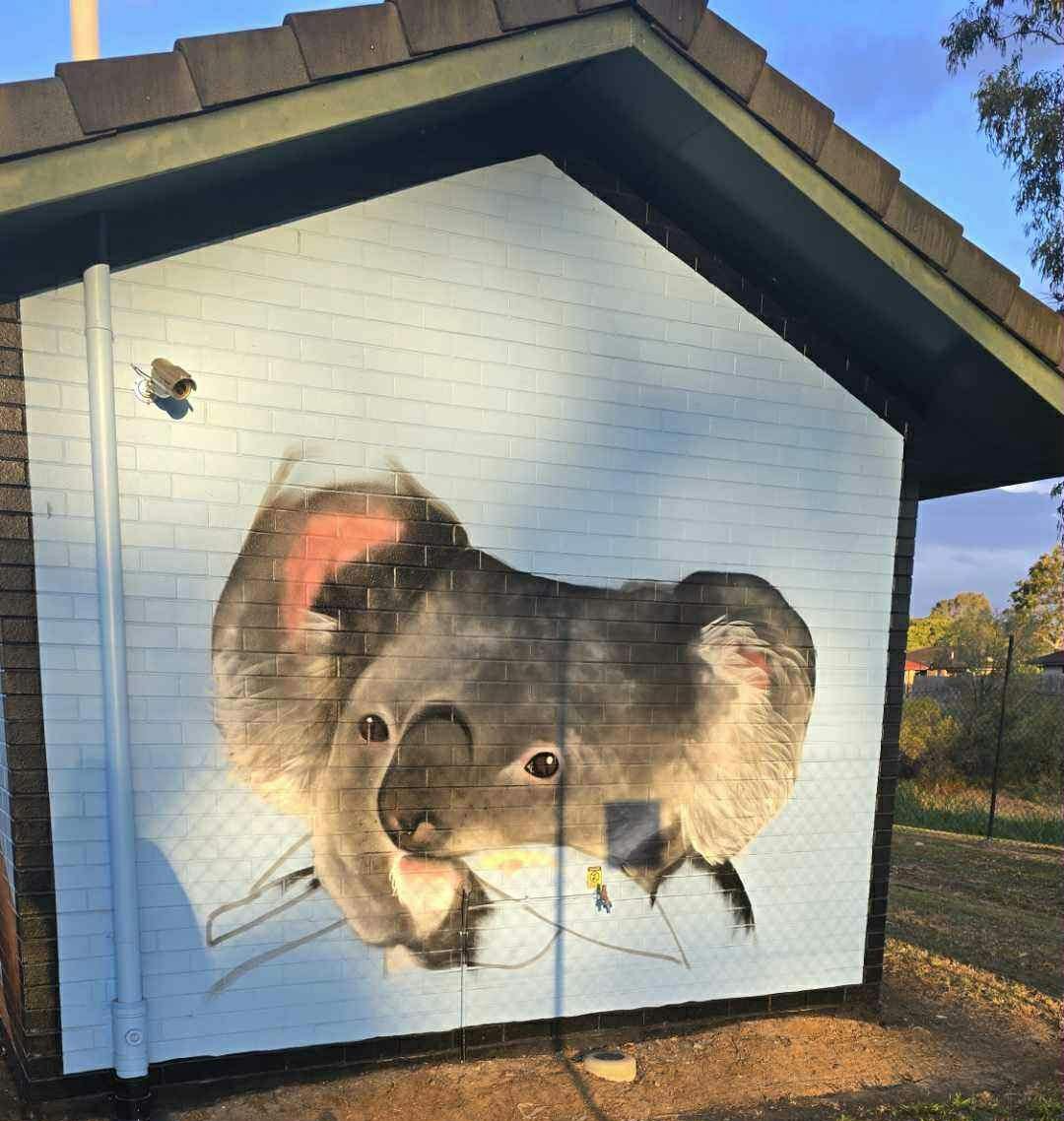 Koala