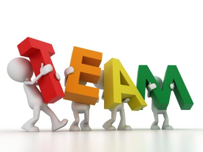 Team member, Planning and Reporting team
