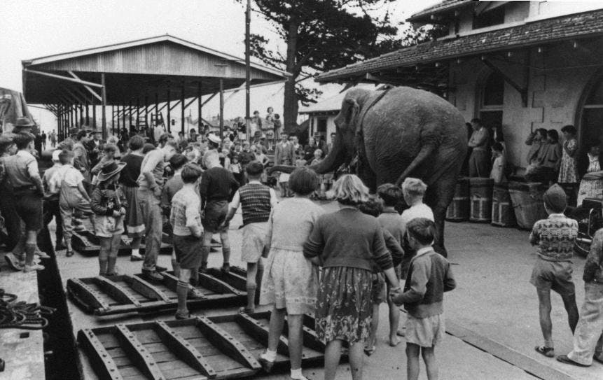 7 I58   Arrival Of Circus At The Mount Gambier Railway Station 1969.
