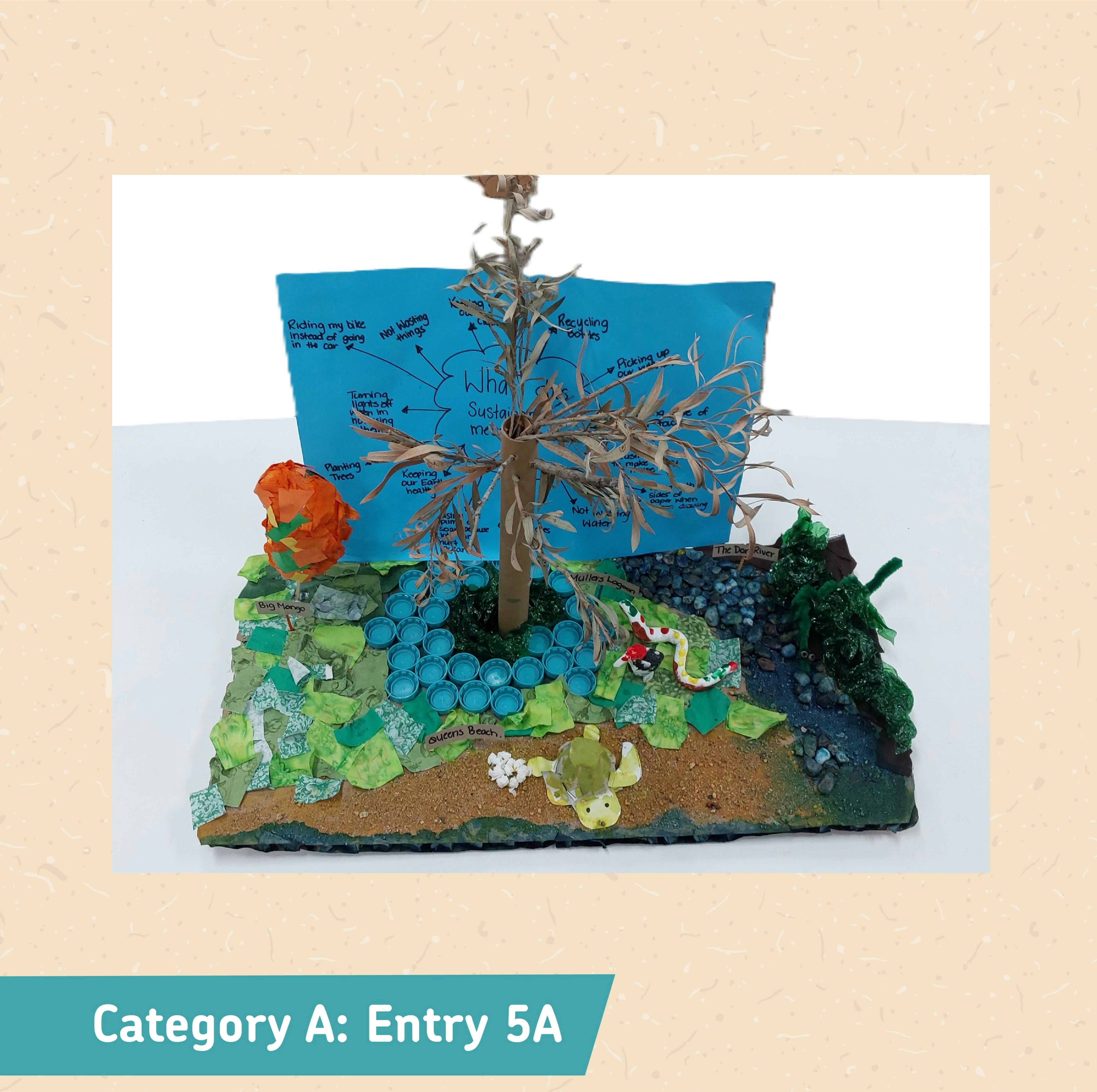 Category A: Entry 5A