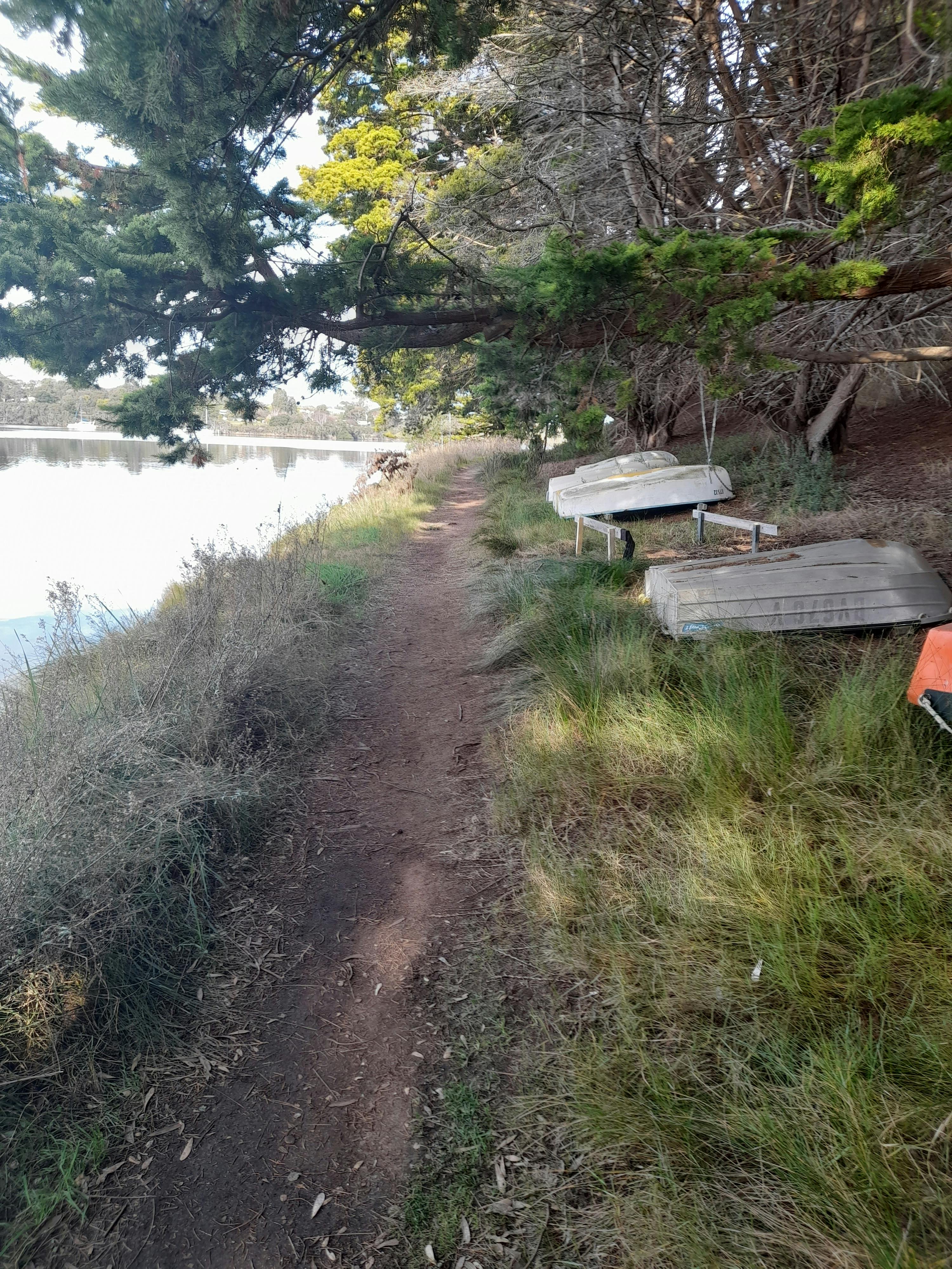 Dinni Birraark site walk on 4 August 2023