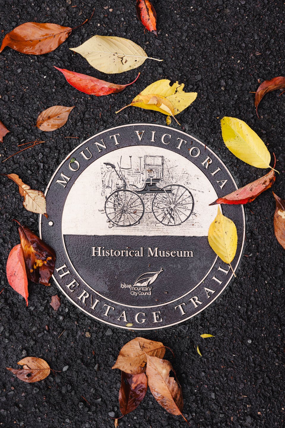 Heritage Trail Musuem_credit Liam Forster.jpg