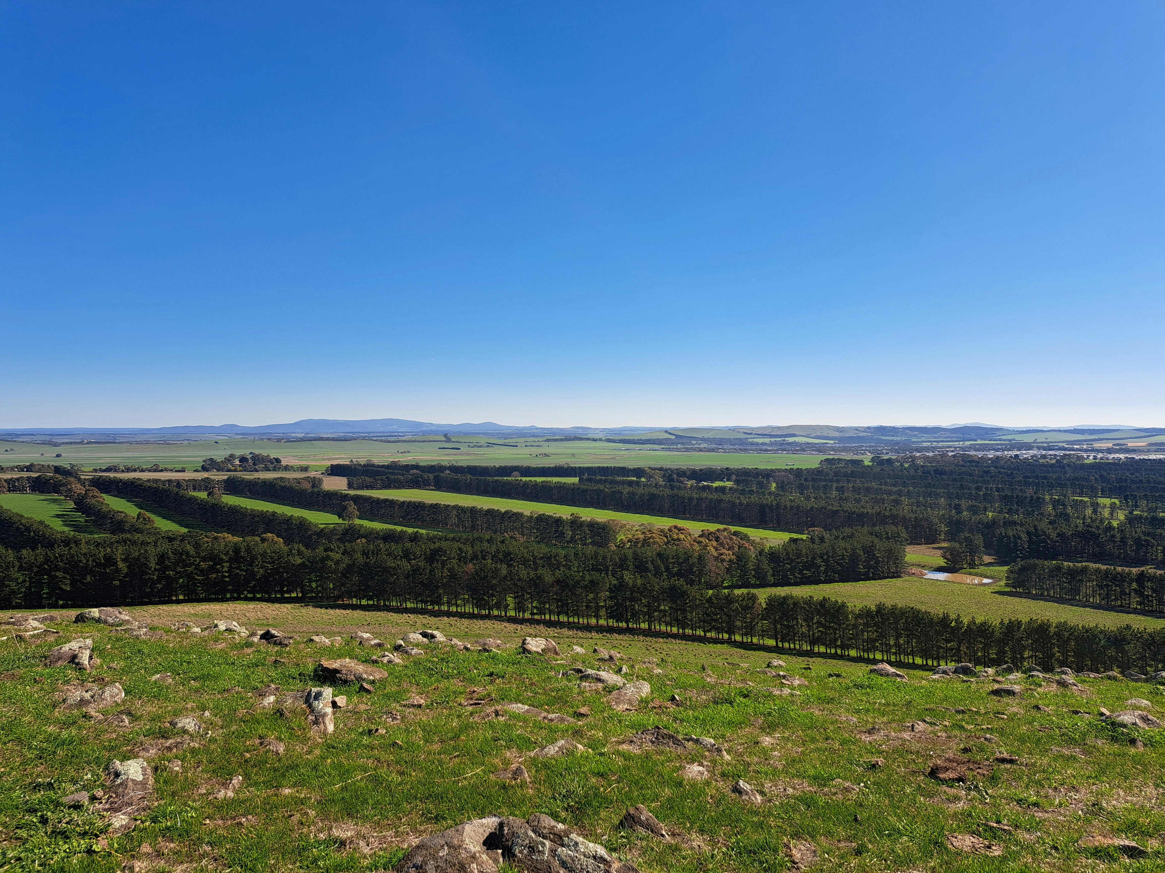 Bald Hill summit - North-eastern view.jpg