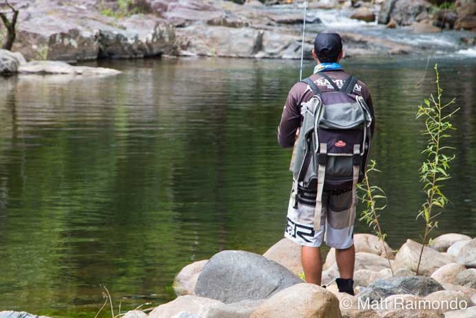 Cattle Creek  691x461