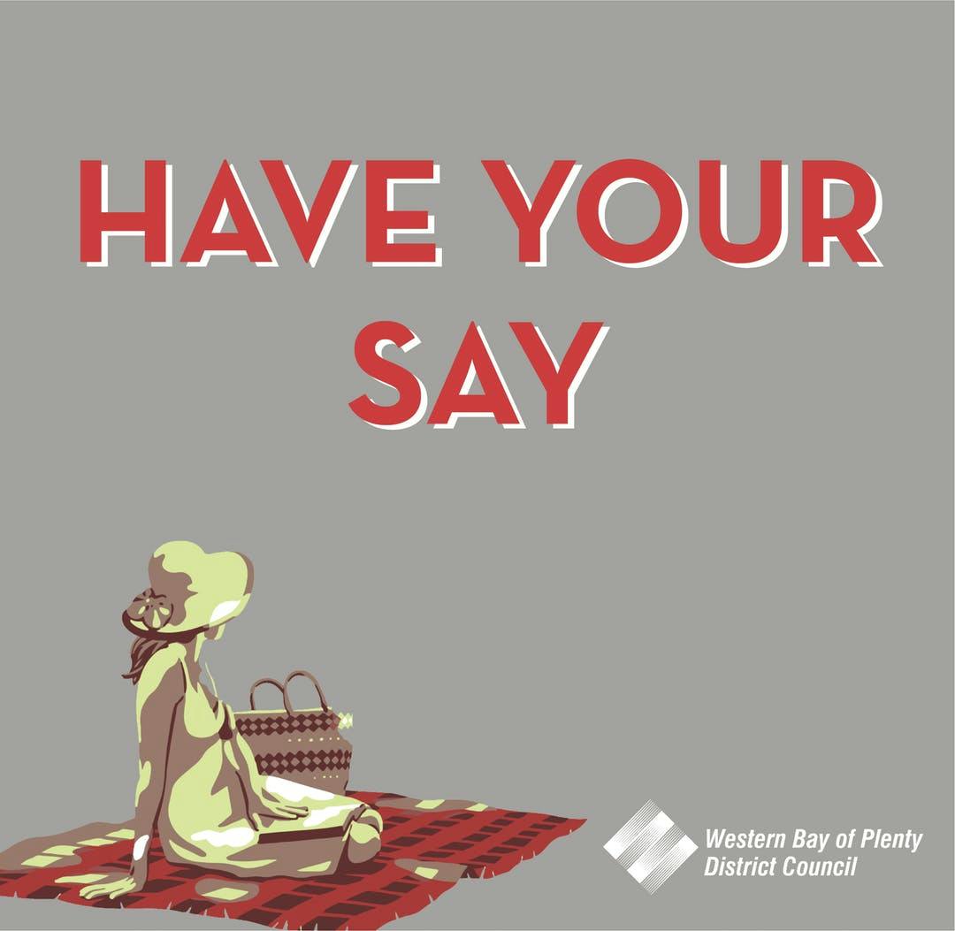 Council branding image for have your say site - picnic lady. 