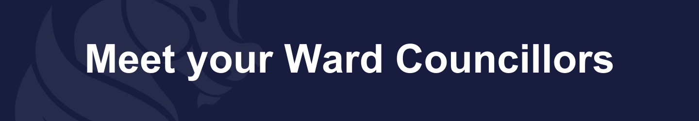 project banner