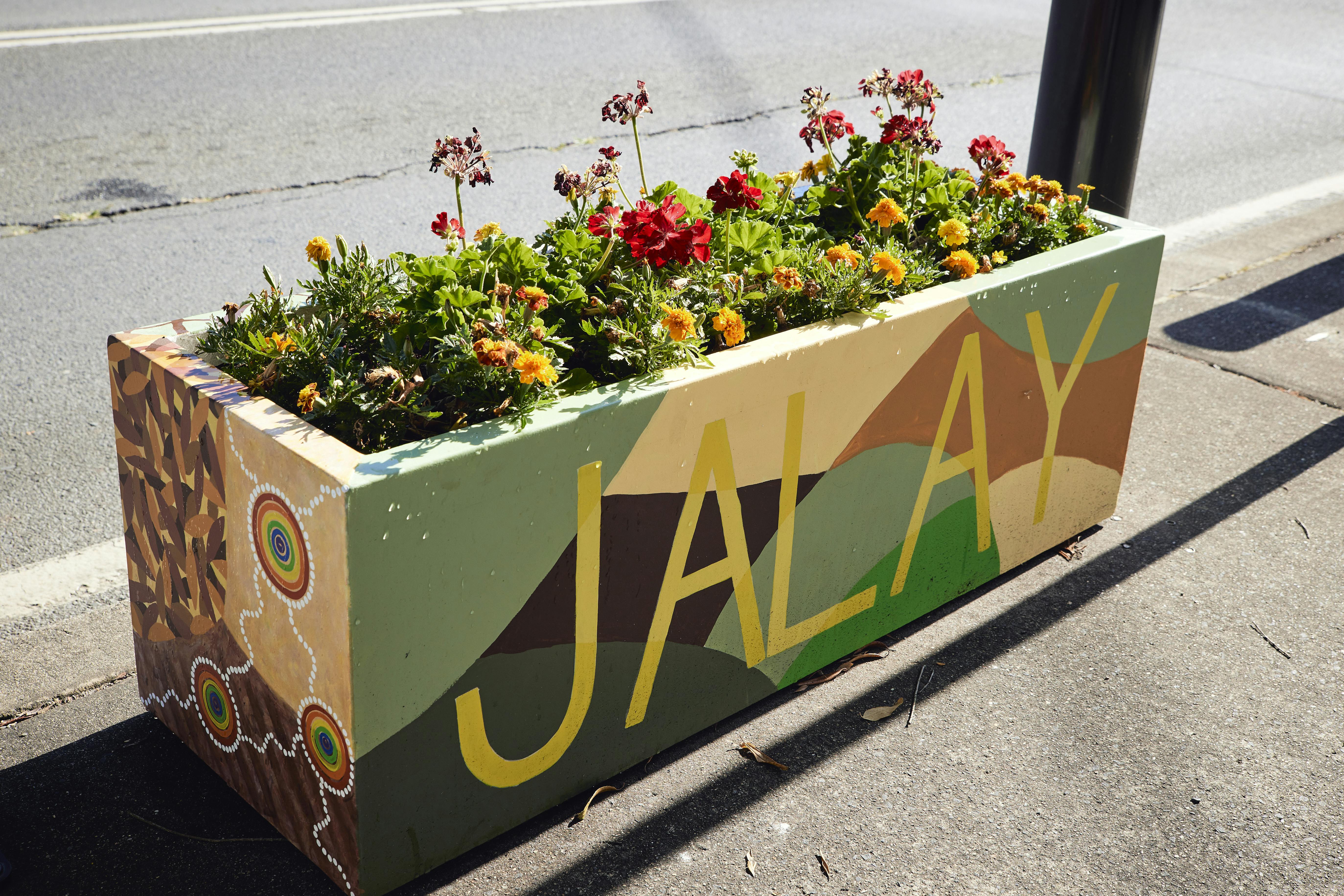 Judy Oakenfull's planter box at Murwillumbah Street