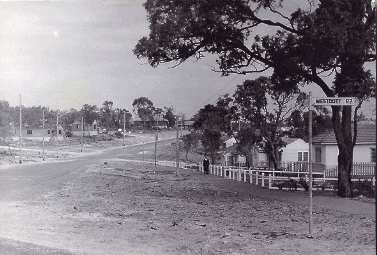 2 Corner Medina Avenue and Westcott Road Medina - 15th August 1954.jpg