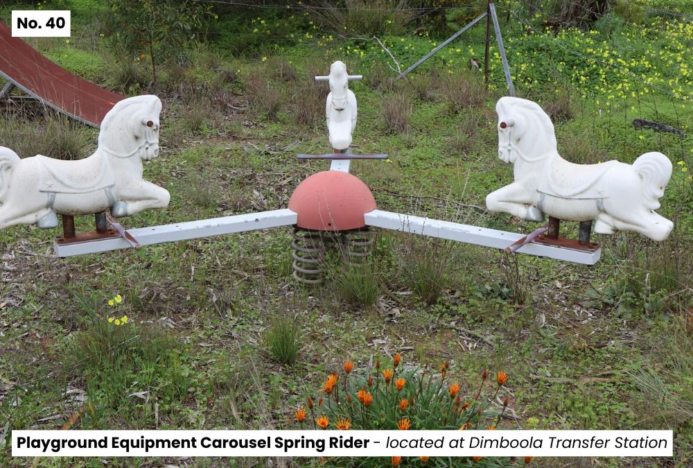 40. Playground Equipment Carousel Spring Rider - Dimboola Transfer Station.png