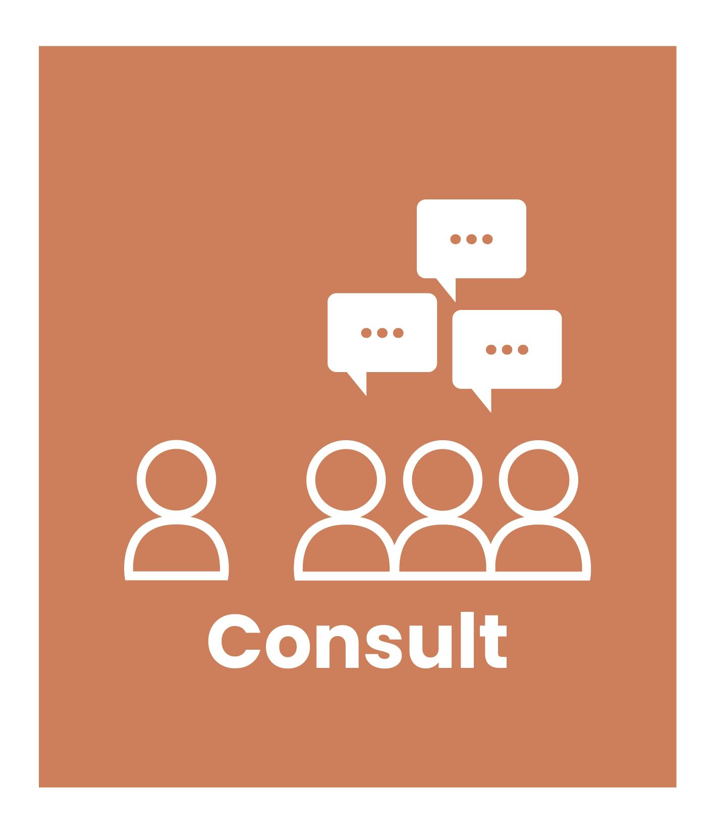 Community Consultation Icons_rectangle BG_CMYK-02.jpg