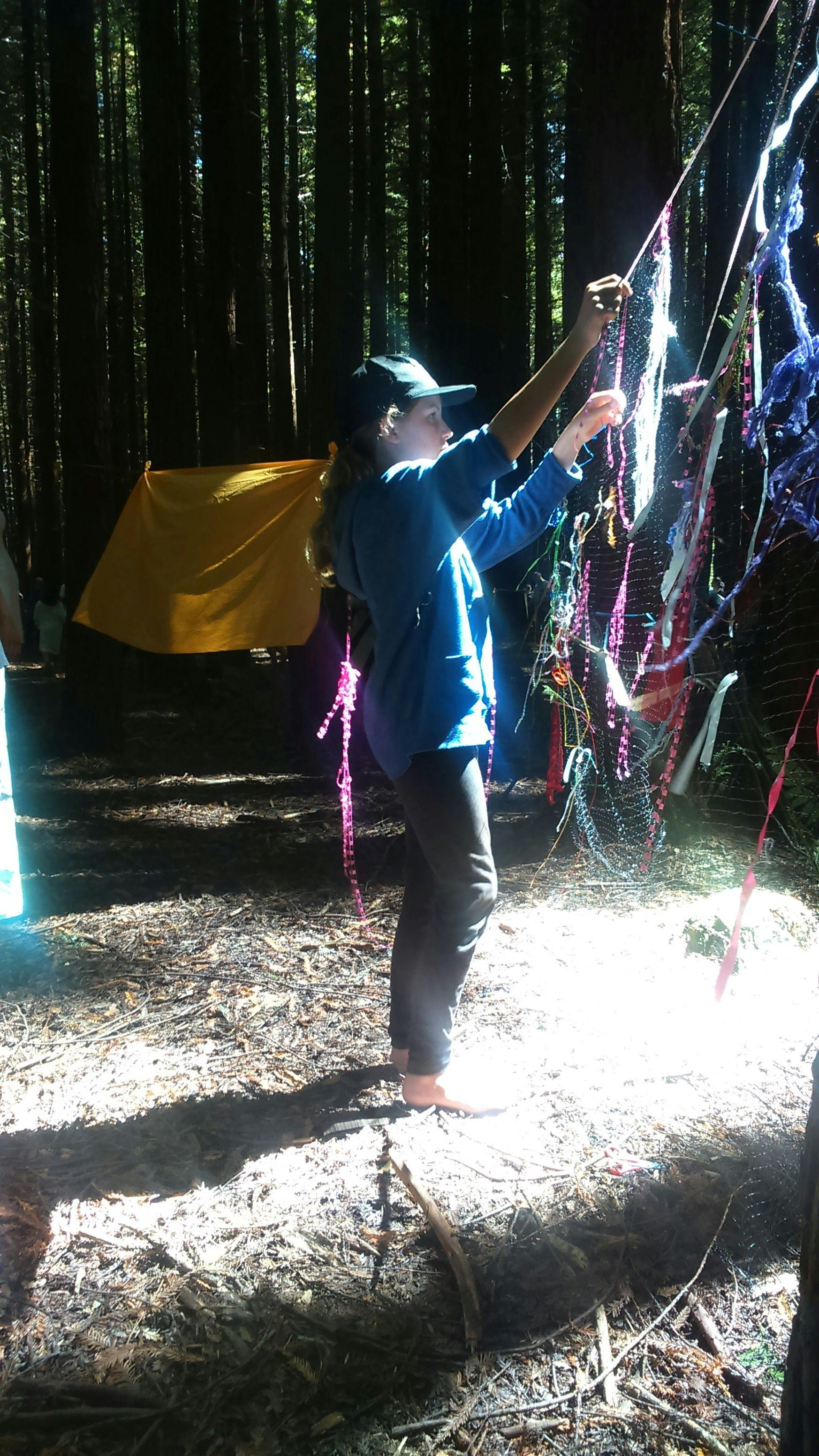 #13 Dream Weaving in the Redwoods