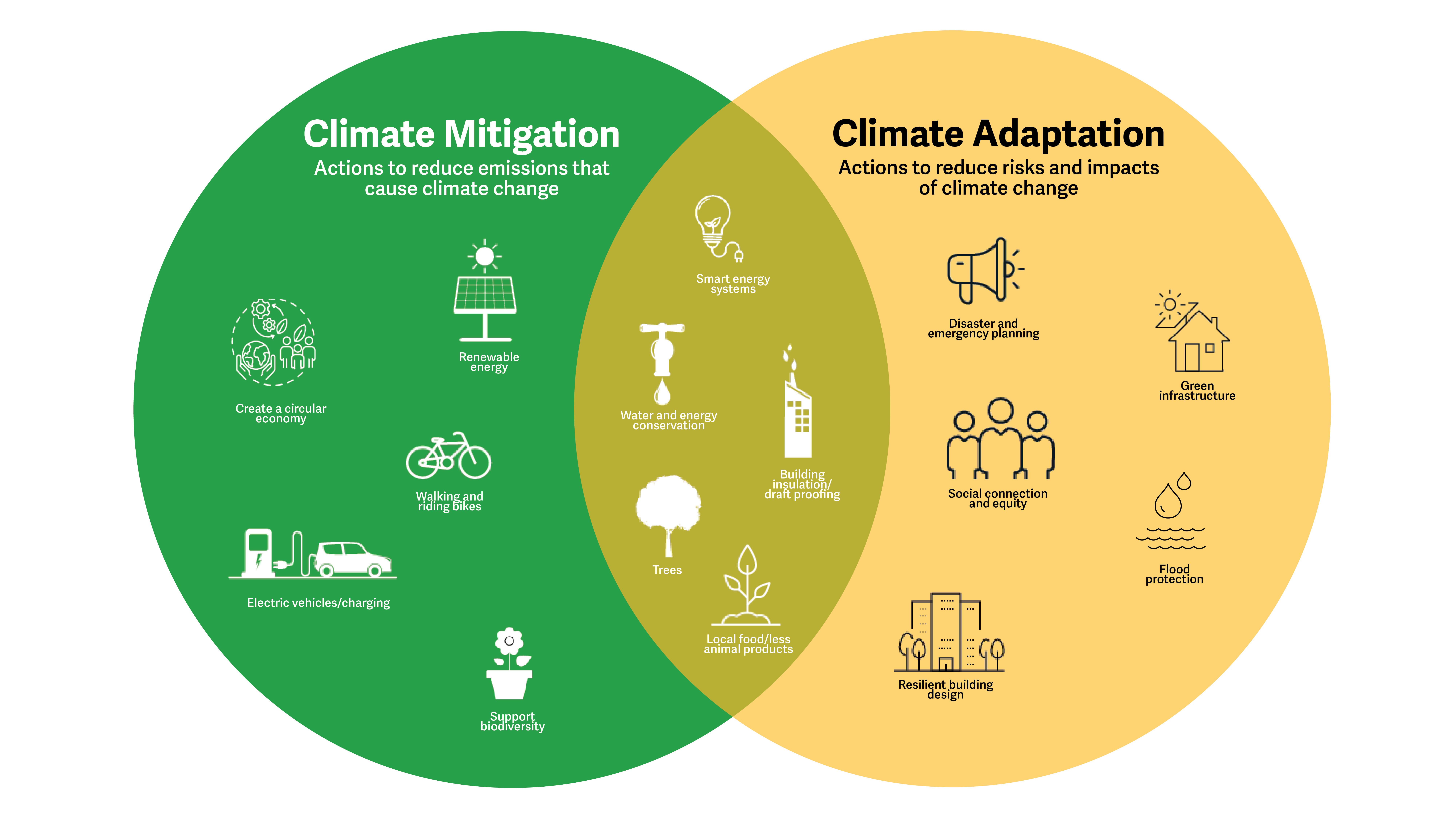 Graphic showing actions for climate mitigation and adaption.