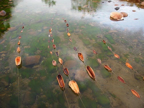 Floating Boats