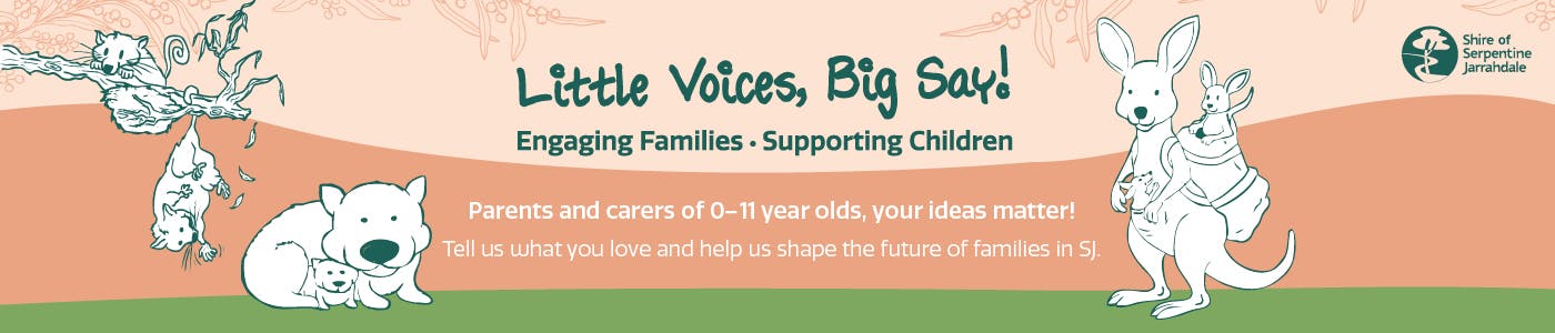 Banner for Little Voice Big Say Your Say SJ 