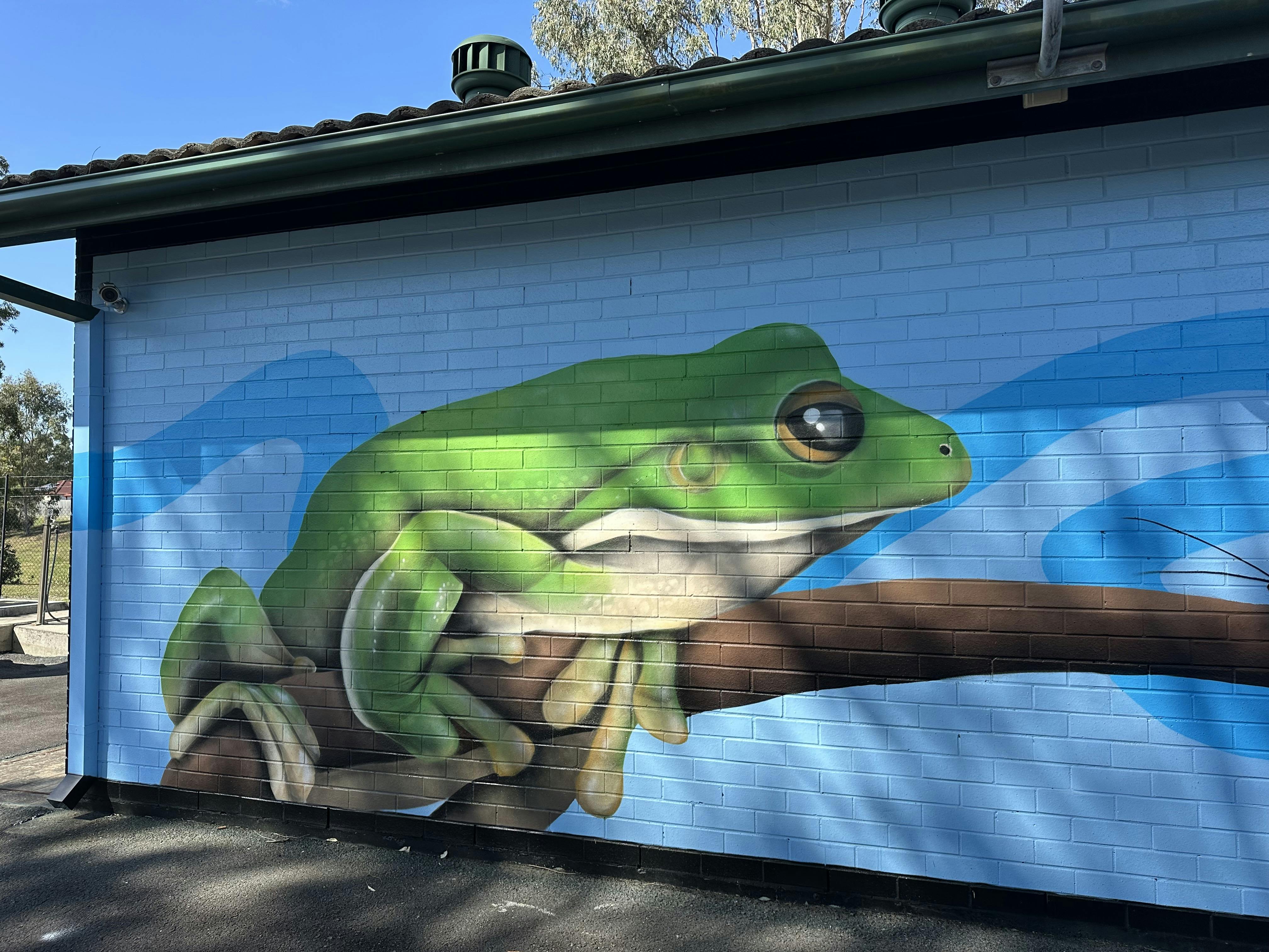 The bright green tree frog