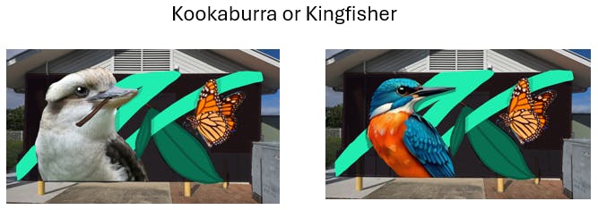 Dan - Kookaburra or Kingfisher.png