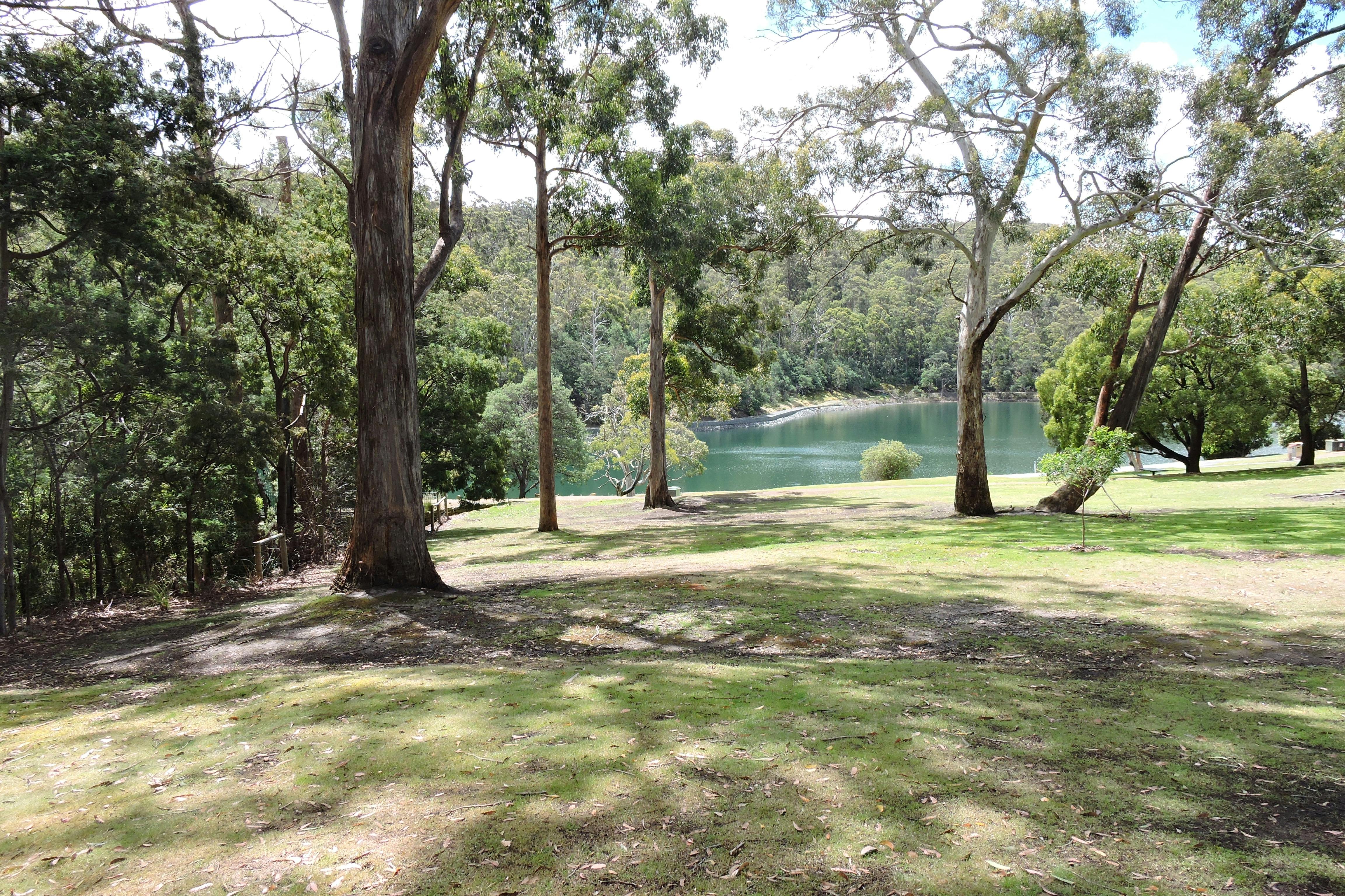 View through the trees down to the water of Waterworks Reserve