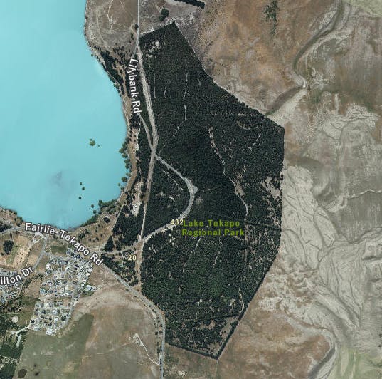 Lake Tekapo Regional Park