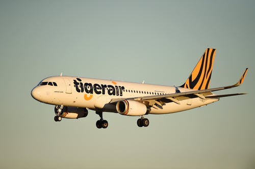 Tigerair