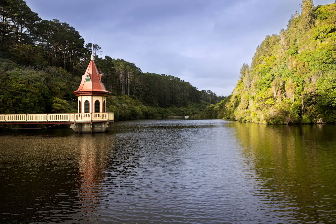 Lake at Zealandia