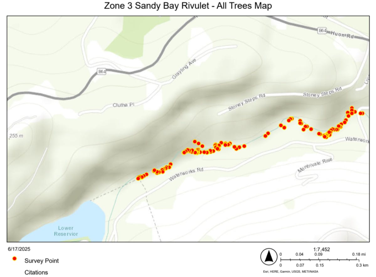 Zone 3 Sandy Bay Rivulet - All Trees Map