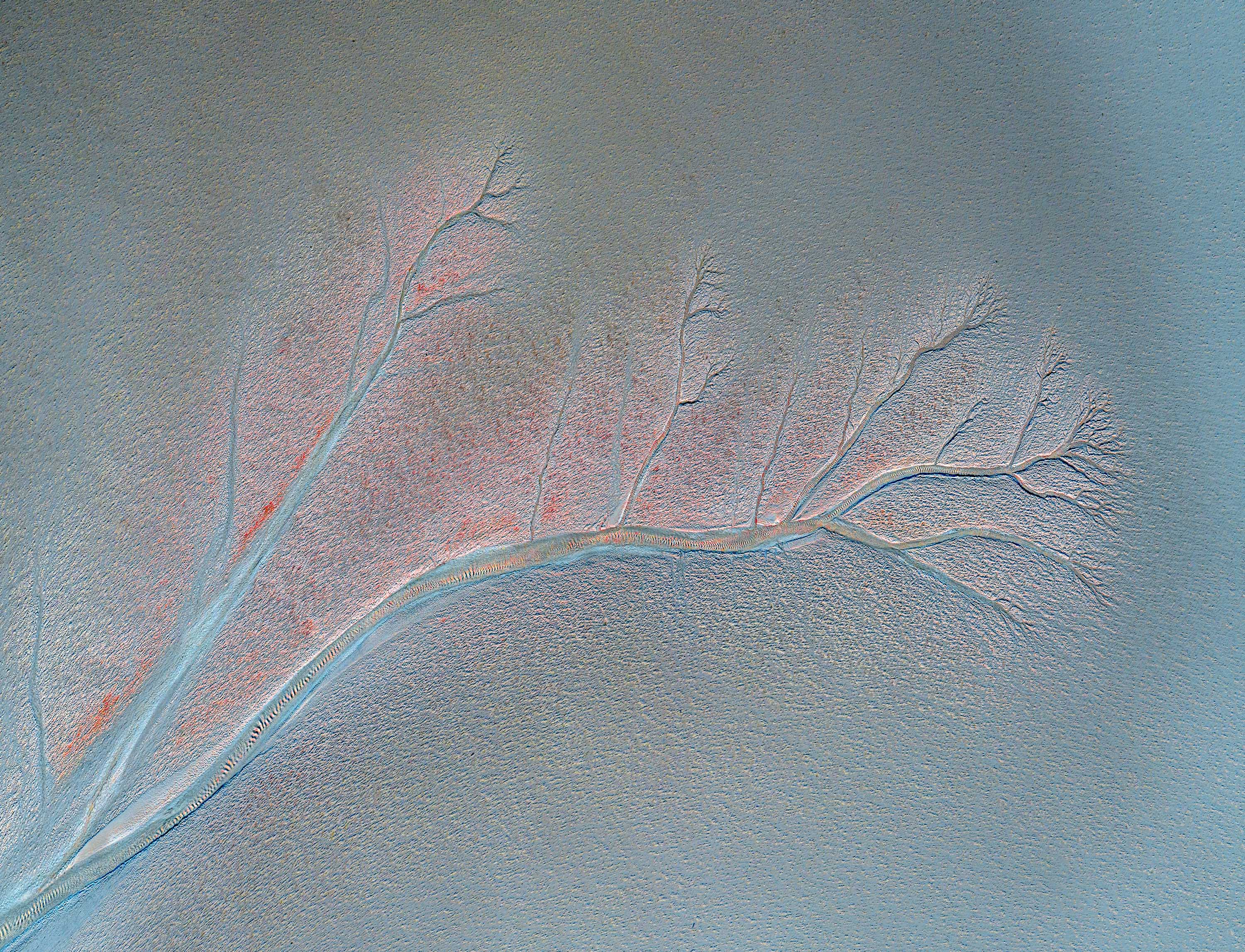Diane Armstrong - Reach, Broome WA